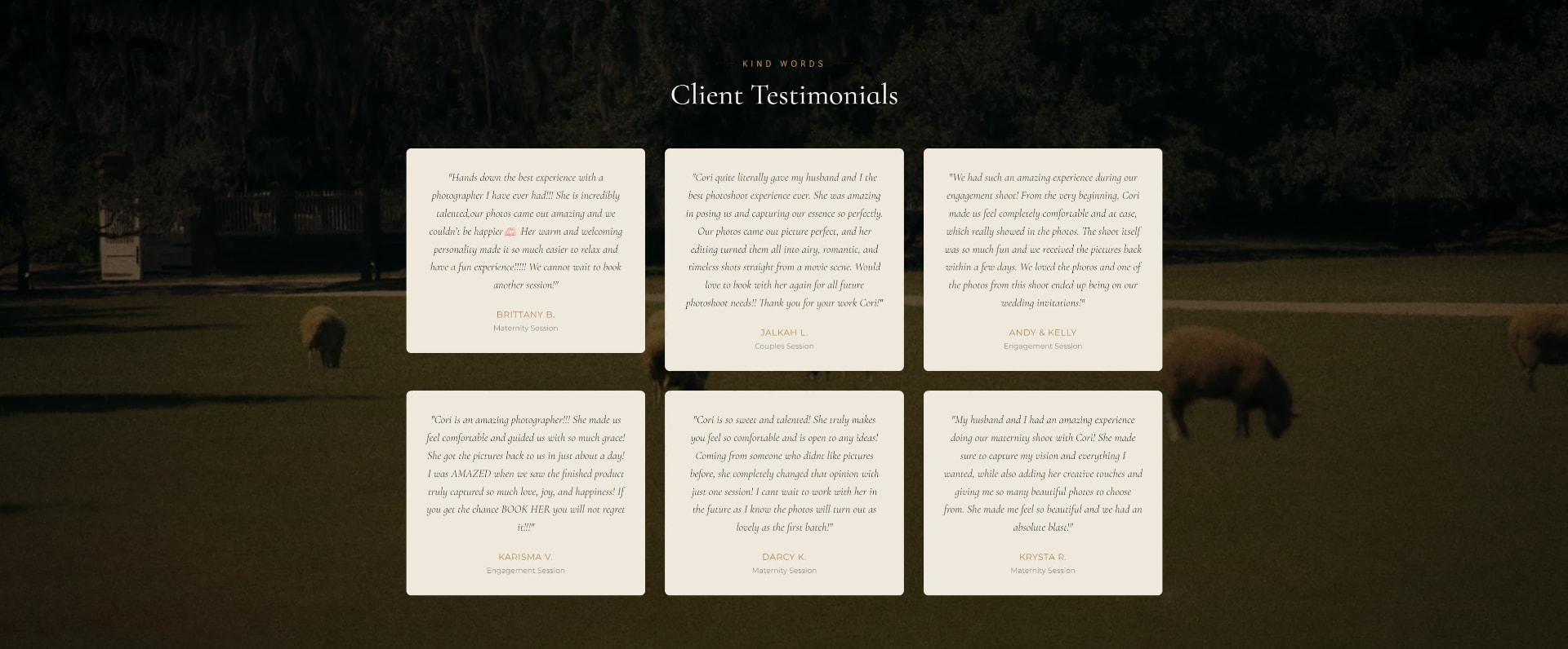 C.E.S Imagery Client Testimonials section with six review cards over a dark field photo